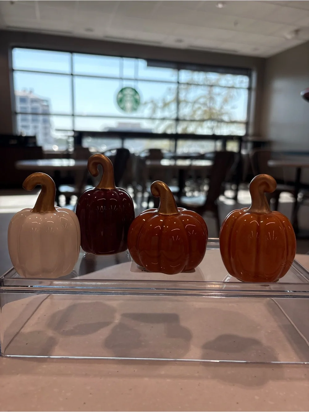 Target Ceramic Pumpkin Set in Orange, White, and Burgundy with Gold Stems